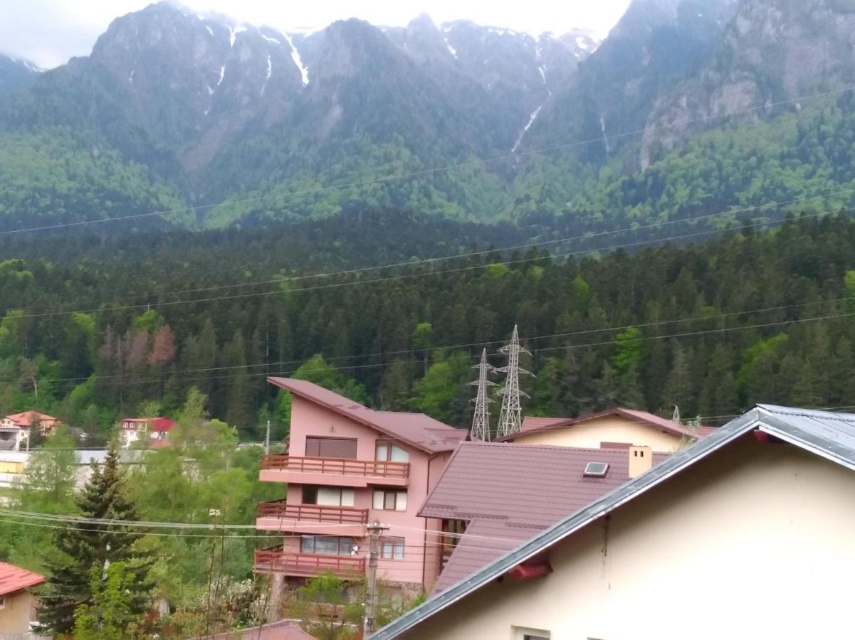 Casa Zura Hotel Buşteni Exterior foto